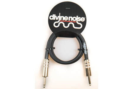 Divine Noise Speaker Cable 3ft 10 AWG ST - ST