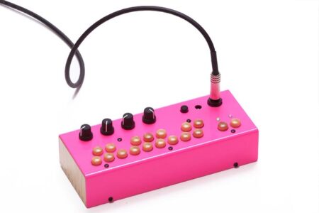 Critter & Guitari Bolsa Bass